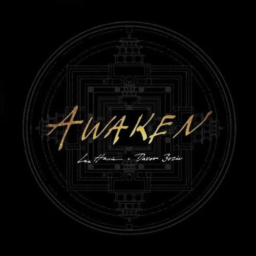 Lee Harris Awaken - Record Album - Vinyl LP