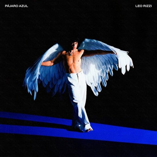 Leo Rizzi Pajaro Azul - Record Album - Vinyl LP