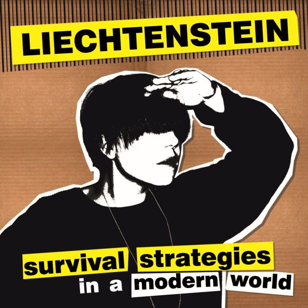 Liechtenstein Survival Strategies In A Modern World