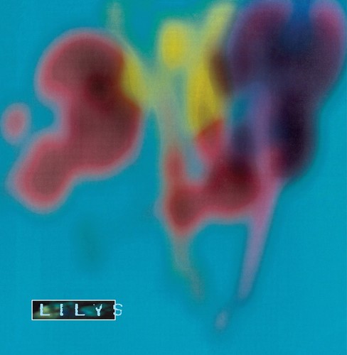 Lilys Eccsame the Photon Band - Record Album - Vinyl LP