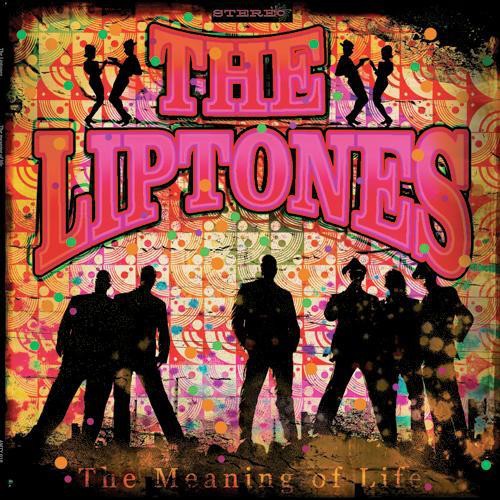 Liptones Meaning of Life - Record Album - Vinyl LP
