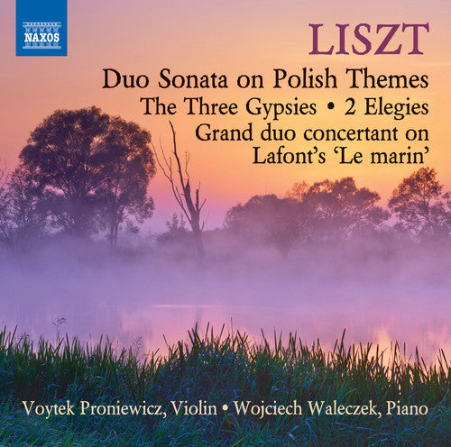 Liszt / Proniewicz / Waleczek Music for Violin & Piano - CD Album