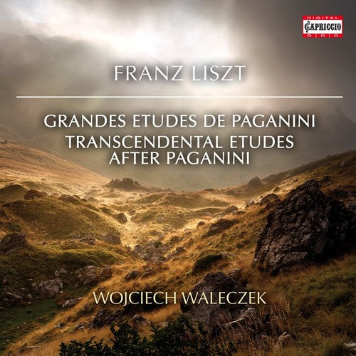 Liszt / Walaczek Transcendental Etudes After Paganini - CD Album