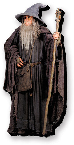 Lord of the Rings Gandalf Funky Chunky Magnet Lord of the Rings Gandalf Funky Chunky Magnet - Accessory