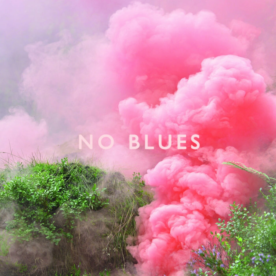 Los Campesinos! No Blues