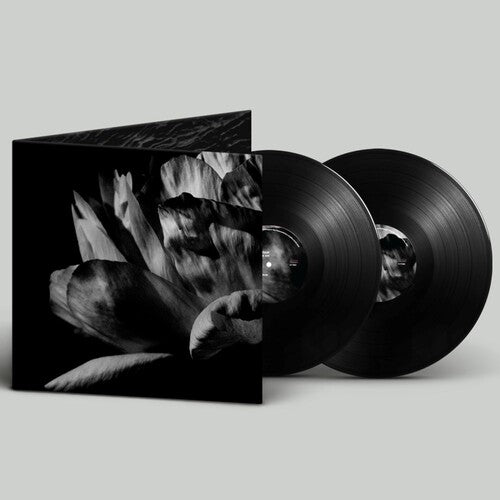 Louise Roam La Ou Passe La Nuit - Double Record Album - Vinyl LP
