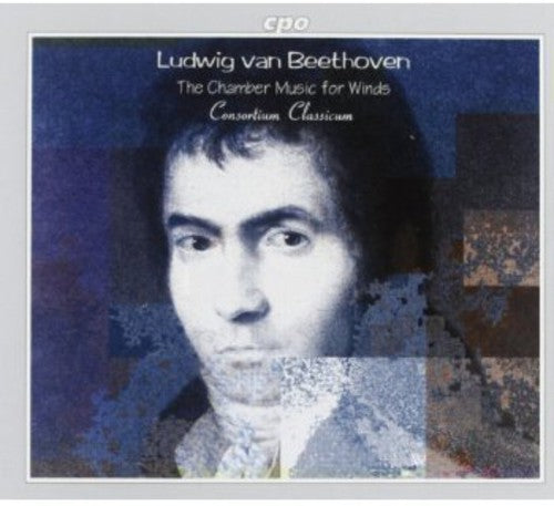 Ludwig Van Beethoven Chamber Music For Winds (box Set) - CD Album
