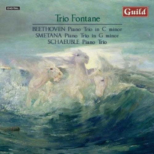 Ludwig Van Beethoven Piano Trio in C minor Op 1 - CD Album
