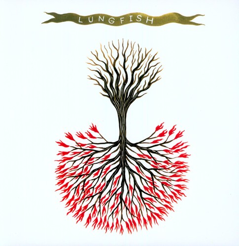 LUNGFISH Love Is Love - Record Album - Vinyl LP