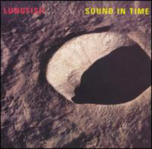 LUNGFISH Sound in Time - Record Album - Vinyl LP
