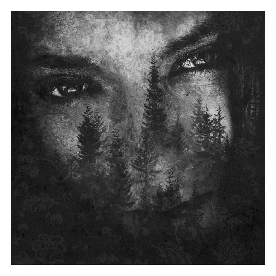 Lustre The Ashes of Light