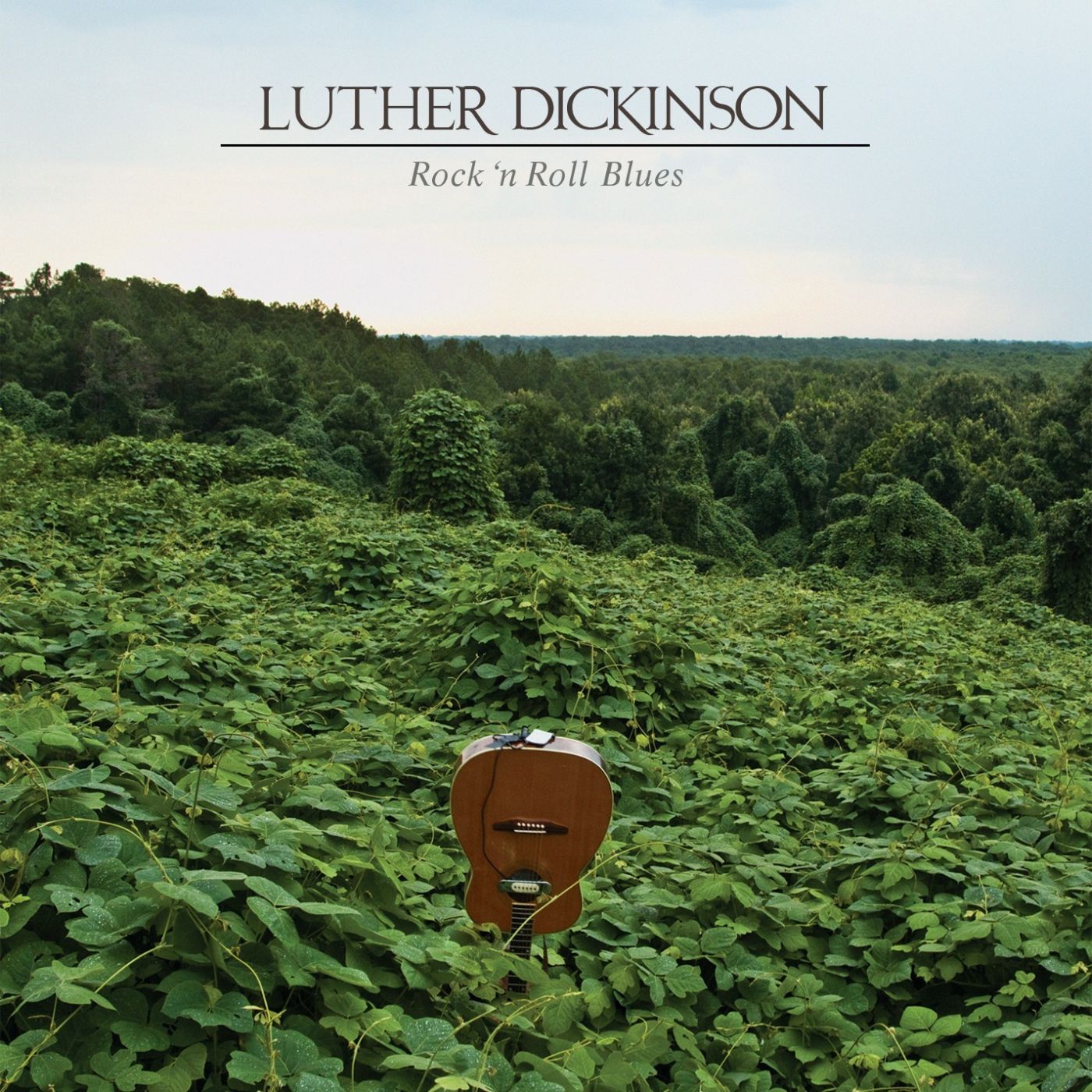 Luther Dickinson Rock 'N Roll Blues