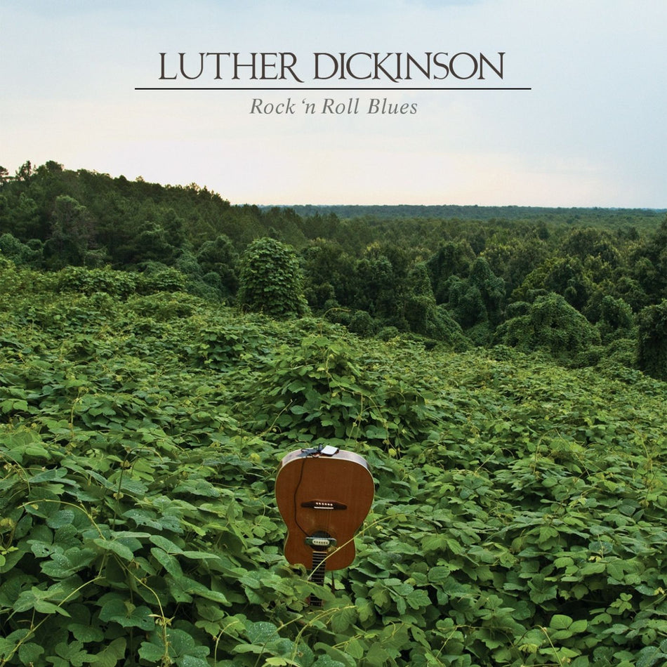 Luther Dickinson Rock 'N Roll Blues