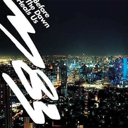 M83 Before the Dawn Heals Us - Record Album - Vinyl LP