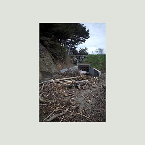 Mac Demarco Five Easy Hot Dogs [LP]