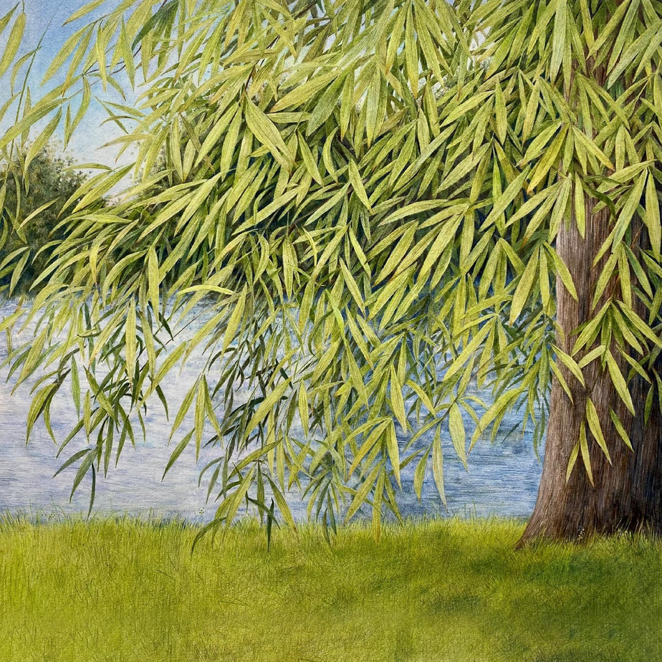 Martin & Thomm Jutz Simpson Nothing But Green Willow : The Songs Of Mary Sands And Jane Gentry