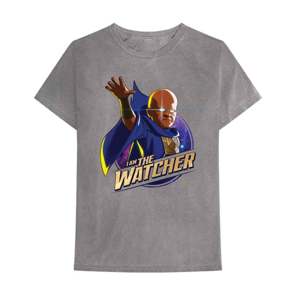 Marvel Comics What If I Am The Watcher Grey