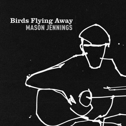Mason Jennings Birds Flying Away - Record Album - Vinyl LP