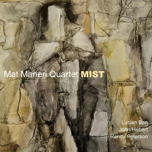Mat Maneri Mist - CD Album