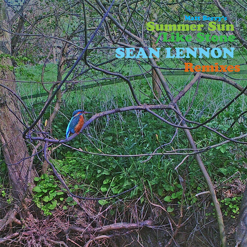 Matt Berry Summer Sun / Like Stone (sean Ono Lennon Remixes) - Record Album - Vinyl LP