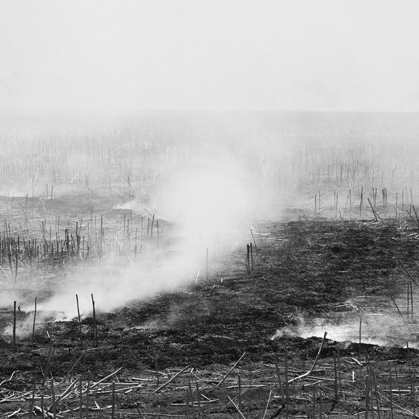 MATT ROSNER Empty, Expanding, Collapsing