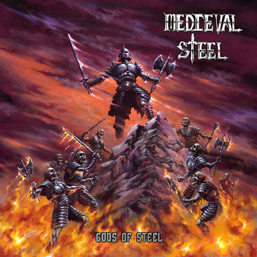 Medieval Steel Gods of Steel - Record Album - Vinyl LP