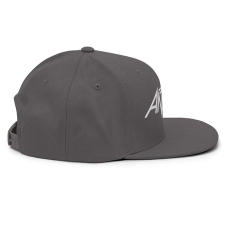 Merch Moment Anthrax - White on Gray Snapback HD Embroidered Hat