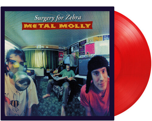 Metal Molly Surgery For Zebra - Record Album - Vinyl LP