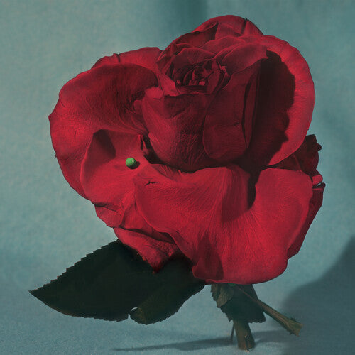 Metz Up on Gravity Hill - Record Album - Vinyl LP