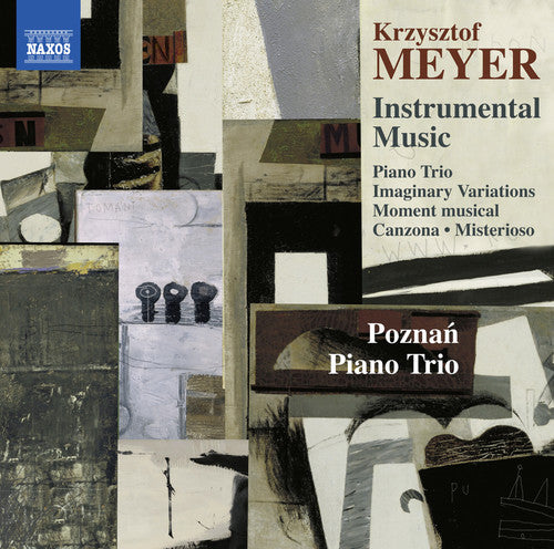 Meyer / Poznan Piano Trio Meyer: Instrumental Music - CD Album