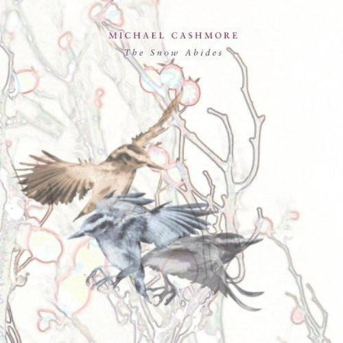 MICHAEL CASHMORE The Snow Abides - Record Album - Vinyl LP