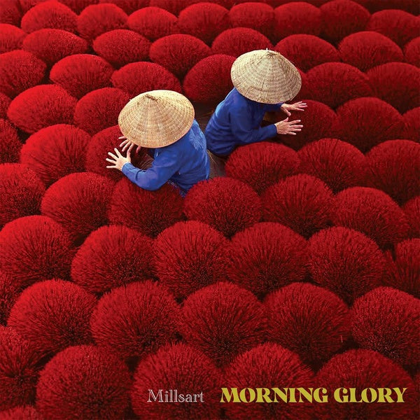 MILLSART Morning Glory