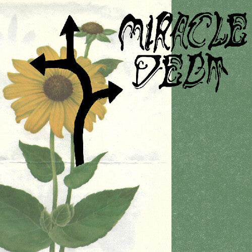 Miracle Debt Under The Shadow - Record Album - Vinyl LP