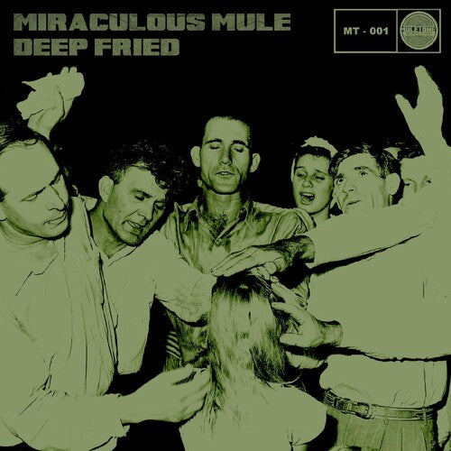 Miraculous Mule Deep Fried - Record Album - Vinyl LP