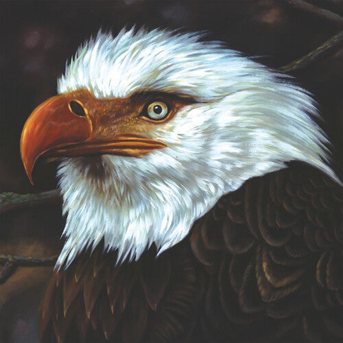 MOGWAI The Hawk Is Howling - Double Record Album - Vinyl LP