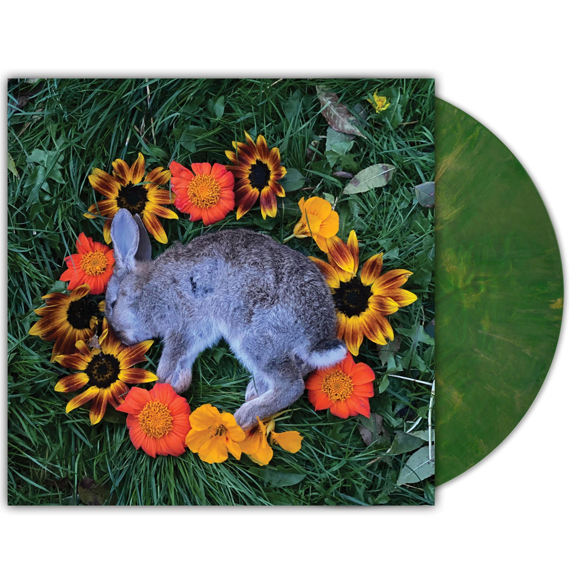Monolord Your Time To Shine [Copper Emerald Vinyl]