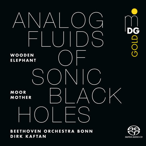 Moor Mother Analog Fluids of Sonic Black Holes - Record Album - Vinyl LP