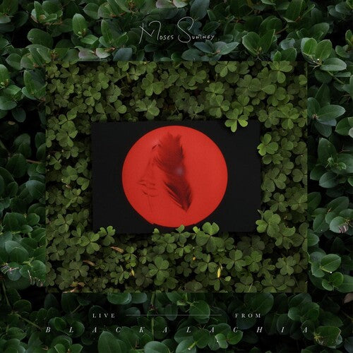 Moses Sumney Live From Blackalachia (Clear Green) - Double Record Album - Vinyl LP