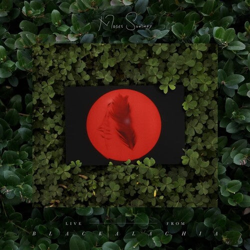 Moses Sumney Live From Blackalachia - Double Record Album - Vinyl LP
