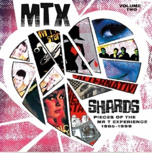 Mr T Experience Shards Vol. 2 - Record Album - Vinyl LP