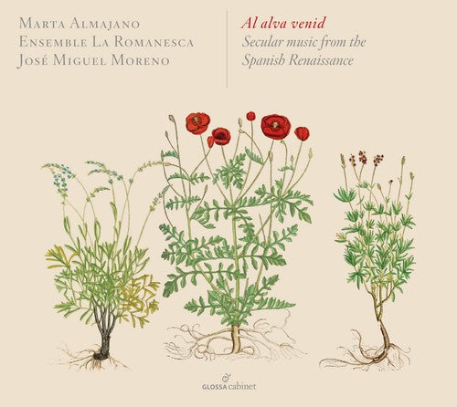 Mudarra / Ensemble La Romanesca Al Alva Venid - Secular Music from the Spanish - CD Album