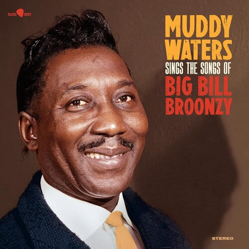 Muddy Waters Sings The Songs Of Big Bill Bronzy - Record Album - Vinyl LP