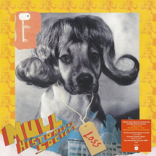 Mull Historical Society Loss - Record Album - Vinyl LP