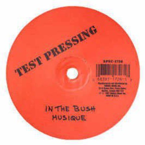 Musique/D Train In the Bush (Bootleg Mix)/Youre the One for - Record Album - Vinyl LP