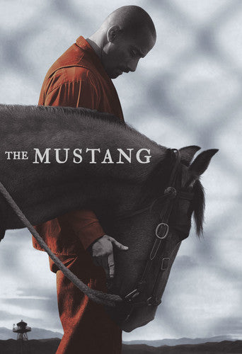 Mustang The Mustang - DVD