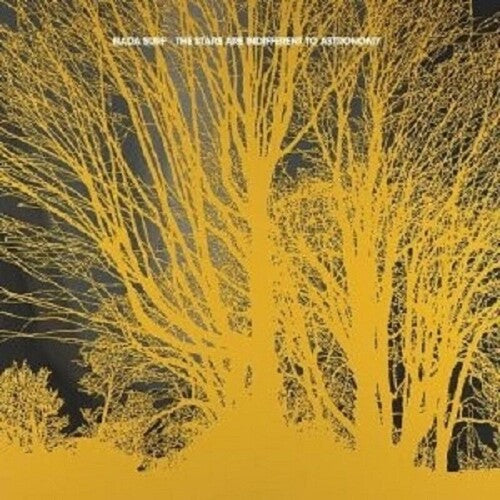 Nada Surf Stars Are Indifferent To Astronomy - Record Album - Vinyl LP