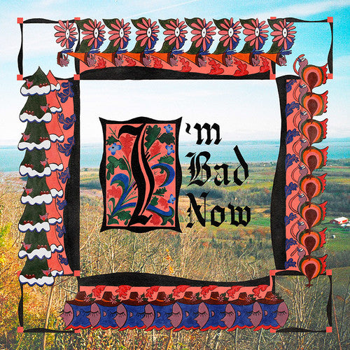 Nap Eyes I'm Bad Now - Record Album - Vinyl LP