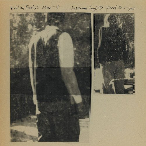 Neel Murgai Wild and Foolish Heart - Record Album - Vinyl LP