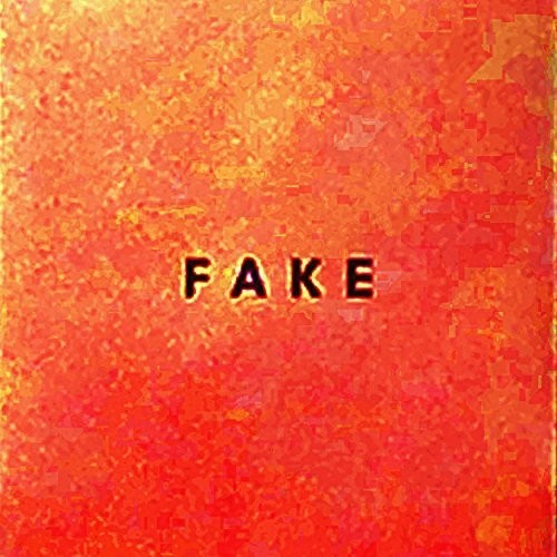 Nerven Fake - Record Album - Vinyl LP