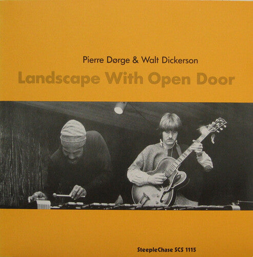 New Jungle Orchestra Landscape With Open Door - Record Album - Vinyl LP